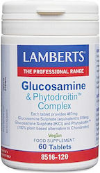 Lamberts Glucosamine & Phytodroitin Complex 60 ...