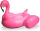 Flamingo Inflatable Flamingo Pink