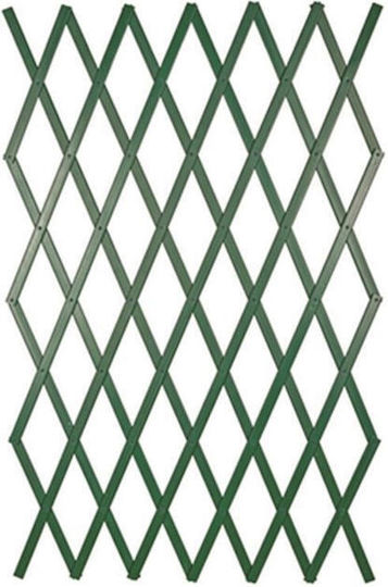 Καφασωτό Κήπου από Ξύλο 250x100cm