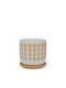 Zaros Planter Ceramic White 15x15x14.5cm.