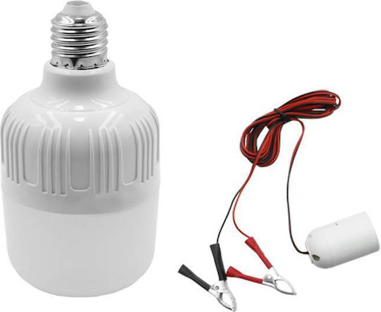 Workshop Light LED with Brightness up to 800lm