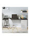 vidaXL Rectangular Office Desk Surface made of Solid Wood Dark Grey 160x60x4cm 3156450 1pcs
