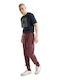 Oak Sweatpants with Elastic Burgundy