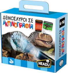 Headu Educational Toy Dinosaurs