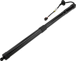 NTY Car Trunk Shock