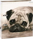 Starpak Clipboard for Paper A4 Dogs 1pcs