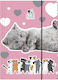 Derform Carnet A4 Multicolor