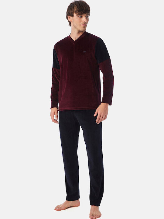 Minerva Bull Burgundy