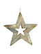 TnS Plastic Christmas Decorative Pendant Star