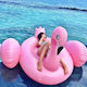 Inflatable Flamingo with Handles Light Blue 200cm