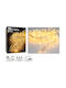Garland Lights Exterior 7.2m