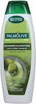 Palmolive Long Σαμπουάν Λάμψης 350ml