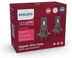 Philips Lamps Ultinon Access H11 Canbus LED 6000K Cold White 12V 20W 2pcs