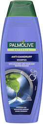 Palmolive Antiforfora 350ml Palmolive Antiforfora 350ml