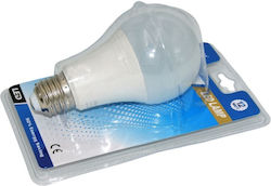 LED Bulb 12W for Socket E27 Cool White