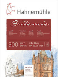 Hahnemuhle 10628641