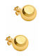 Earrings made of Gold 14K