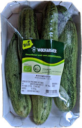 Bio Zucchini Griechisch (Mindestgewicht 900g)