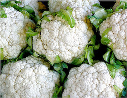 Fytro seeds Seeds Cauliflower