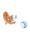 Cat Toy Ball