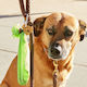 Kikkerland Dog ID