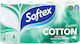 Softex Classic Cotton Χαρτί Υγείας 8 Ρολά 3 Φύλλων