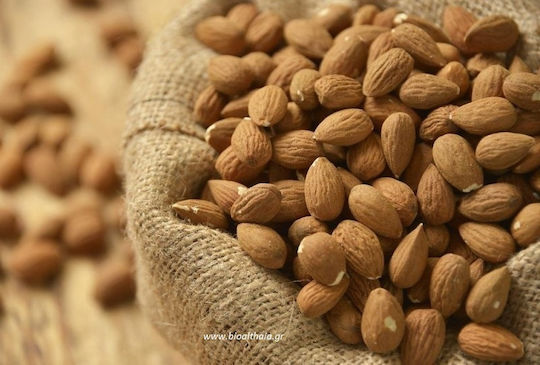 HealthTrade Βιολογικά Αμύγδαλα Ωμά Ψίχα Χωρίς Αλάτι 1000gr
