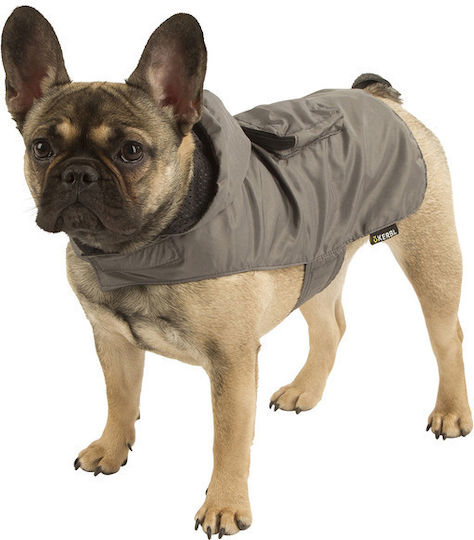 Kerbl Hundemantel Wasserdicht Kapuzen Grün mit Rückenlänge 40 cm.