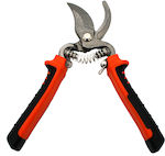 Pruning Shears