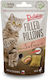 Pet Camelot Cat Treats for Cats 40g
