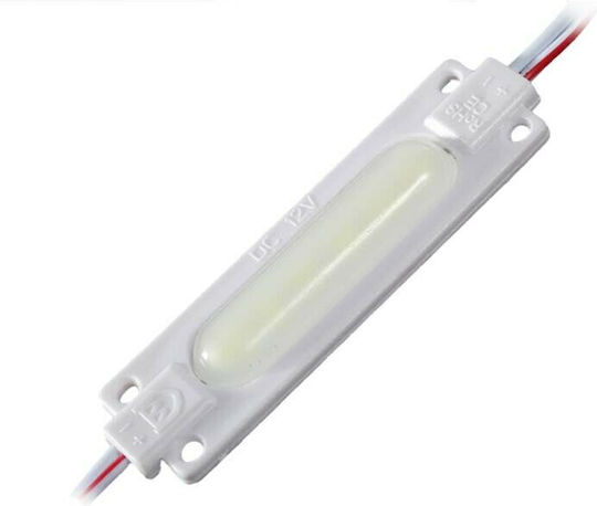 Cob LED Module Cool White 12V 2W 20pcs (120120250)