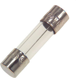 2A Cylindrical Glass Fuse (5904097801125)