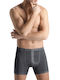 Hanro Men's Slip Gray