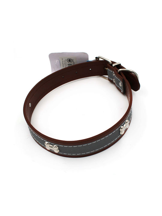 Dog Collar in Brown color