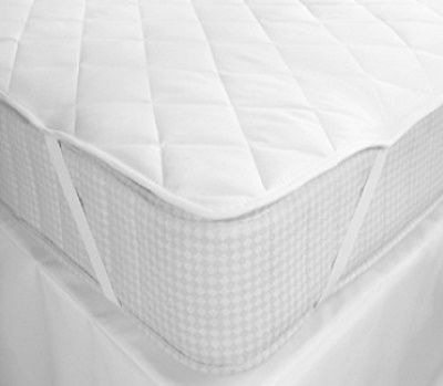 Palatex 1619