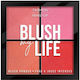 Fashion Make Up Palette mit Rouge & Blush Pfirsich