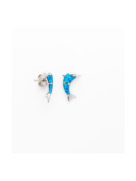 Earrings made of Silver with Stones