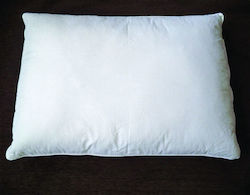VS Home Hotelkissen Antiallergisch 45x65cm 10 Stück VS Home Hotelkissen Antiallergisch 45x65cm 10 Stück