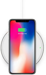102000925B Wireless Qi