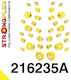 Strongflex Bushes for Toyota Lexus 216235A