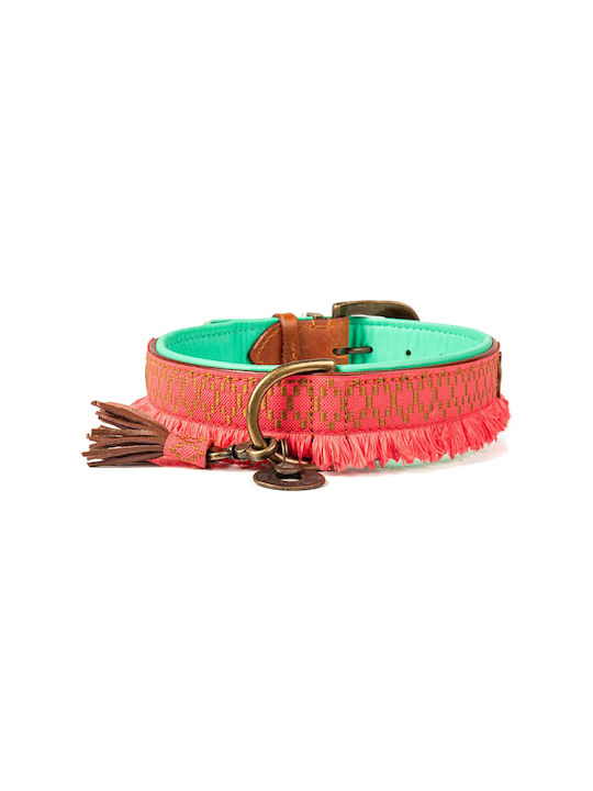 DWAM Hundehalsband in Orange Farbe