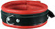 XX-Dreamstoys Collar