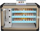 TIGER 240 Egg Incubator 3 Layers Refrigerator Type Automatic Egg Incubator 240 Eggs with Steam System & Battery Support