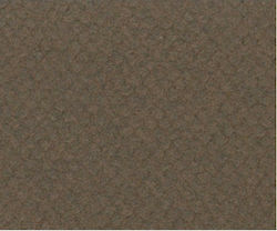 Canson Carton Canson Mi-teintes 50x65 cm Maro