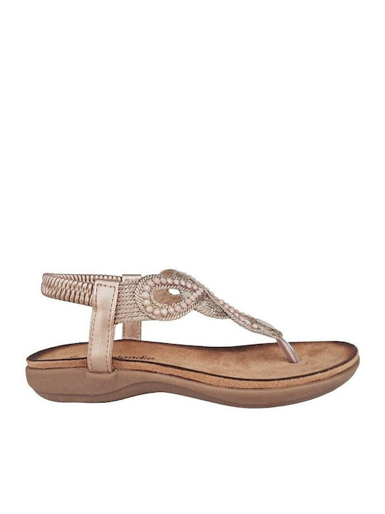 Blondie Women's Flat Sandals in Brown Color