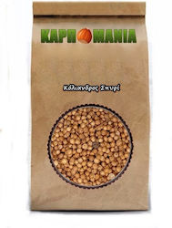 Karpomania Κόλιανδρος 50gr