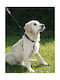 Kerbl Hundegeschirr Schwarz 83720