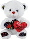 Dorosimo Plush Bear 50 cm