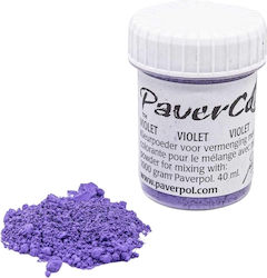 Paverpol Special Craft Paint Purple 30ml