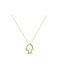 Necklace from Gold 14K